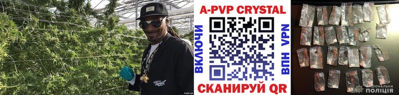 Купить наркотики сайты Игра LSD-25 A PVP ГАШ Меф Cocaine МАРИХУАНА
