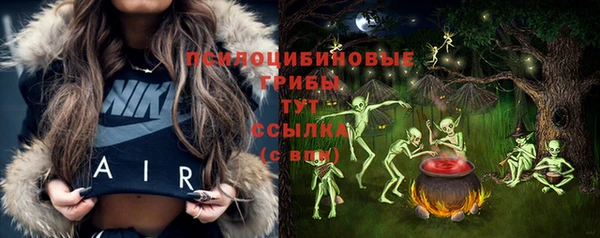 синтетический гашиш Алексин