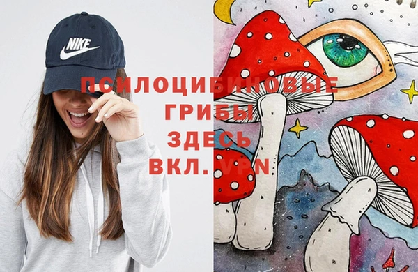 хмурый Алексеевка