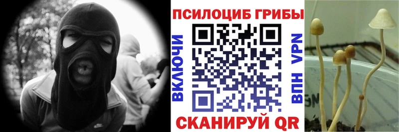 Псилоцибиновые грибы Psilocybe  Игра 